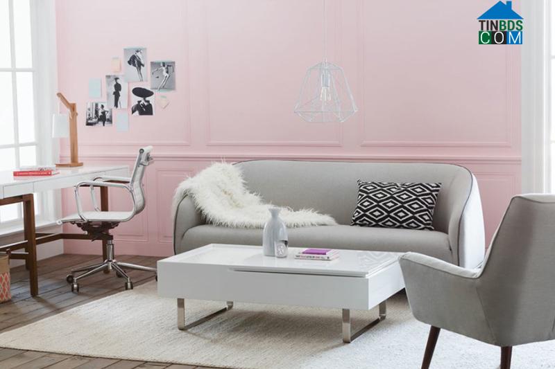 Tường sơn màu hồng pastel làm phông nền cho nội thất màu đen, trắng, xám 